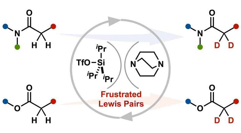 【研究成果】2種類の触媒でアミドとエステルの位置選択的な重水素化を達成！ ～創薬研究やマテリアル分野への応用に期待～（矢崎亮 准教授）